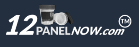 12 Panel Now Logo